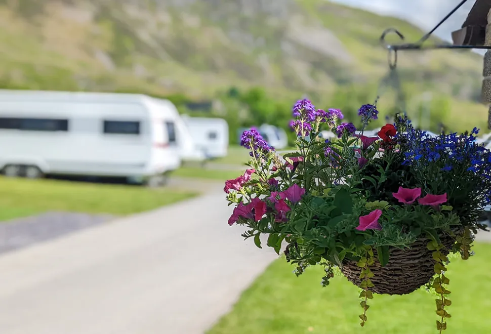 bryn-gloch-campsite-image-11