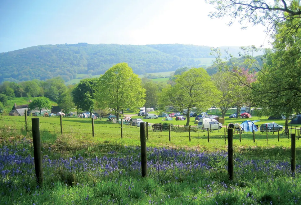 burrowhayes-campsite-image-4