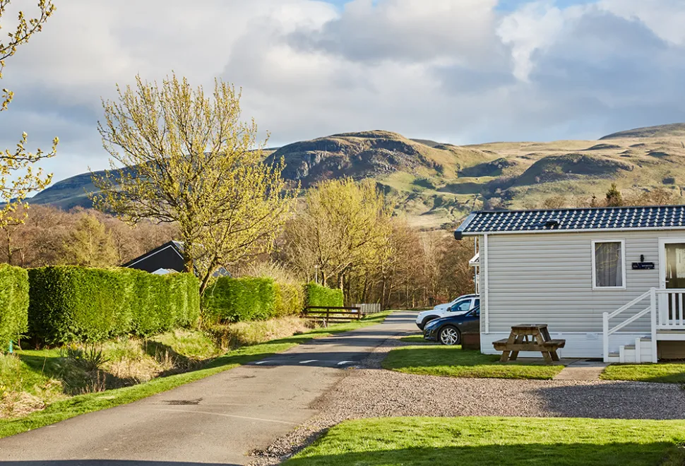 campsie-glen-campsite-image-4