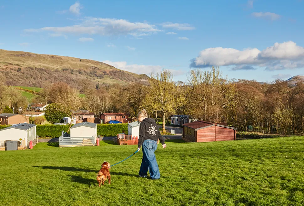 campsie-glen-campsite-image-6
