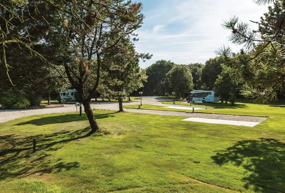 carvynick-campsite-image-2