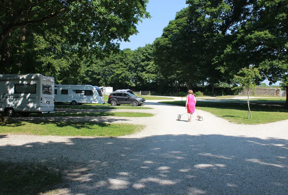 castle-howard-lakeside-campsite-image-8
