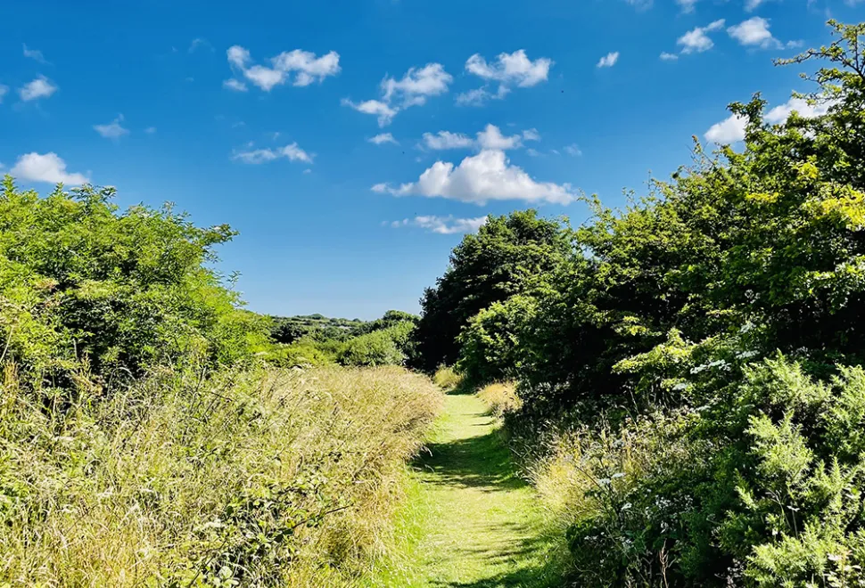 chacewater-campsite-image-4