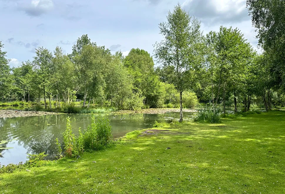 cobbleacre-park-campsite-image-2
