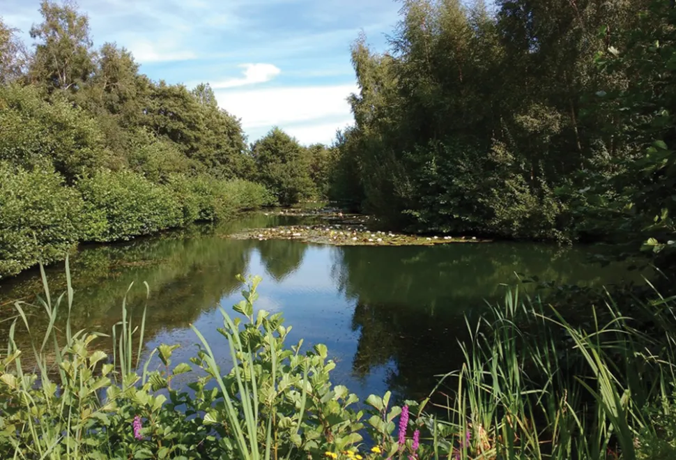 cobbleacre-park-campsite-image-5