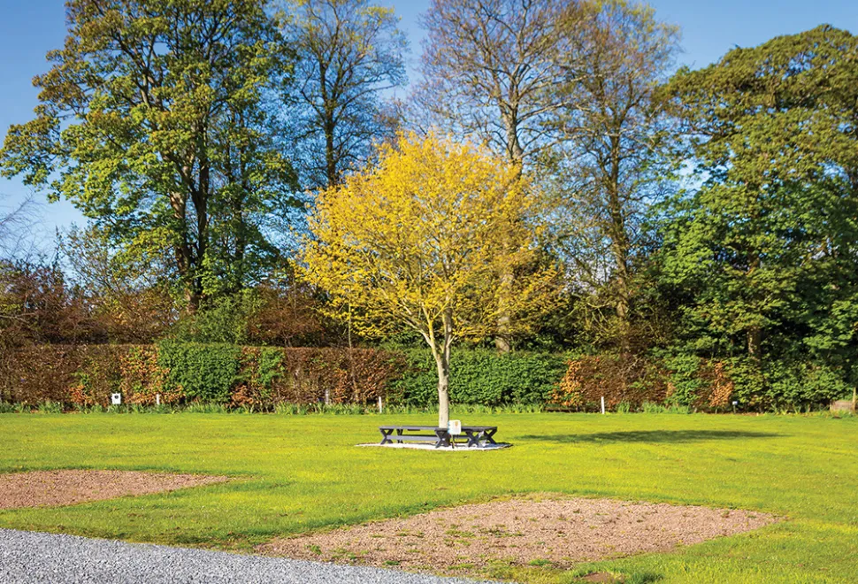 drummohr-campsite-image-10