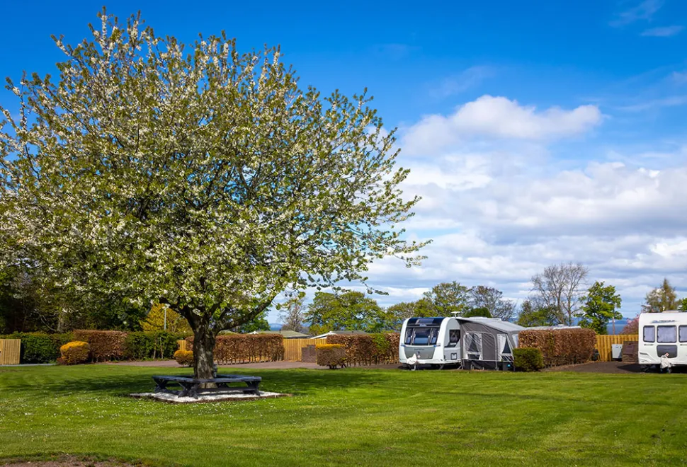 drummohr-campsite-image-3