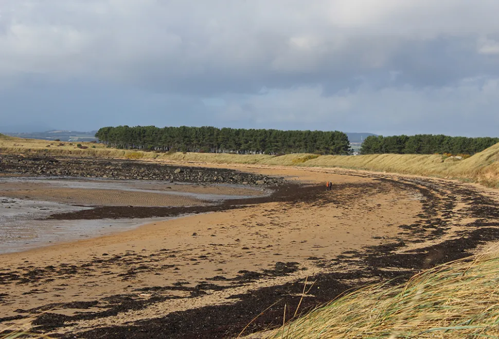elie-campsite-image-5