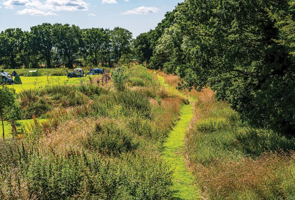 flaxton-meadows-campsite-image-8