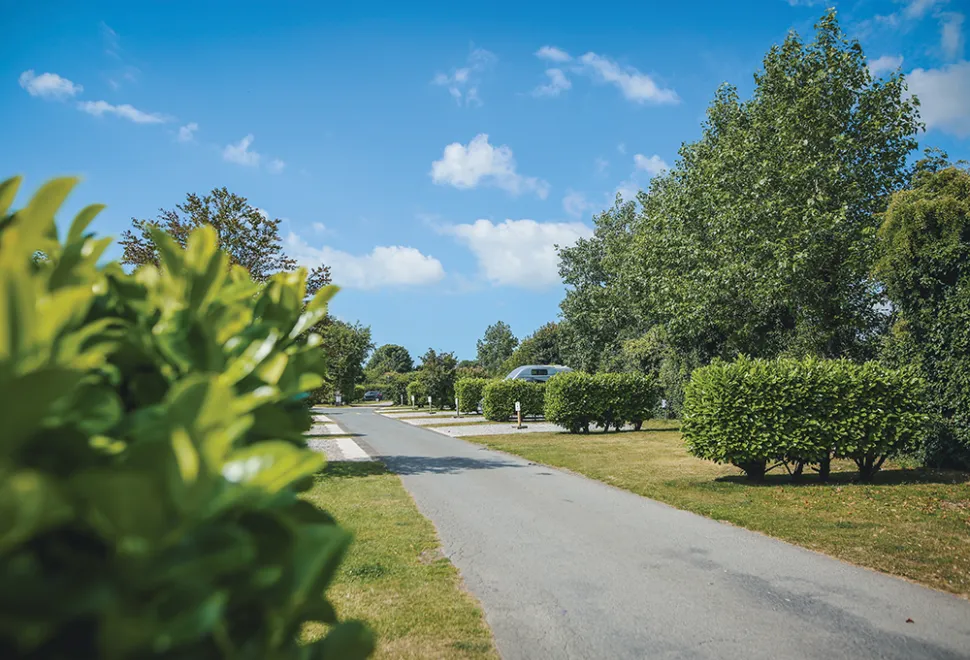 hawthorn-farm-campsite-image-4