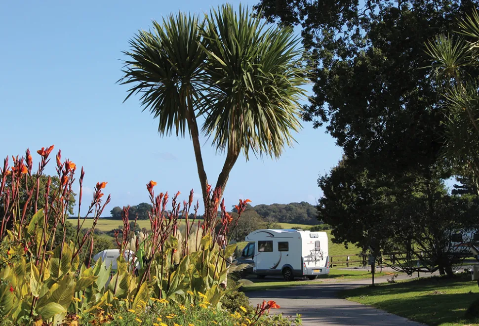 heligan-campsite-image-10