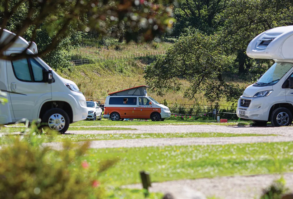 heligan-campsite-image-5