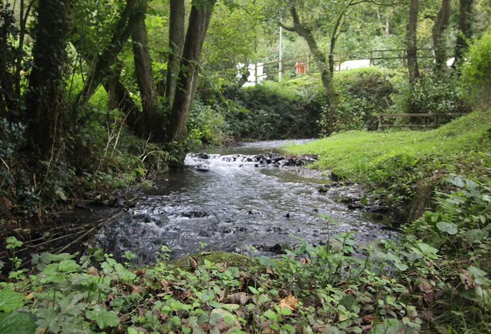 hidden-valley-campsite-image-4