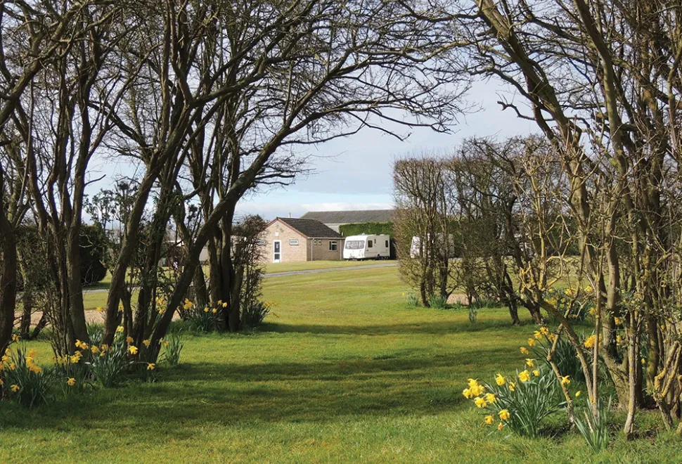 highfield-farm-campsite-image-4