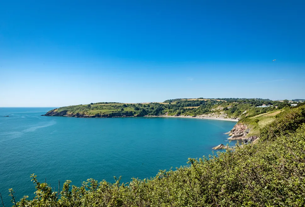 landscove-holiday-park-campsite-image-3