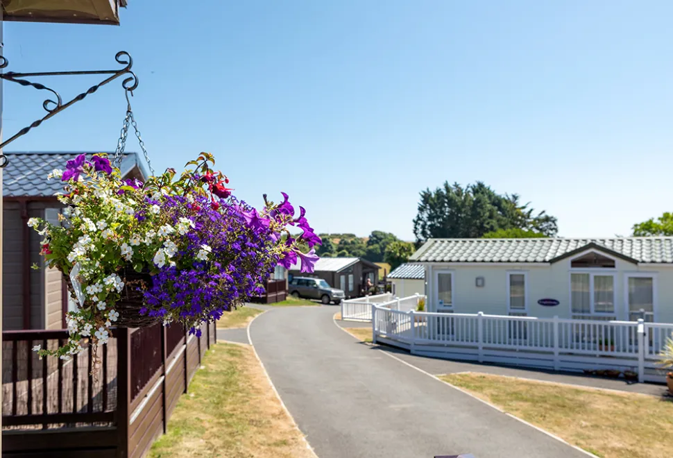 landscove-holiday-park-campsite-image-5