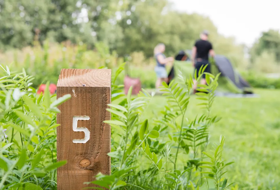lee-valley-almost-wild-campsite-image-3