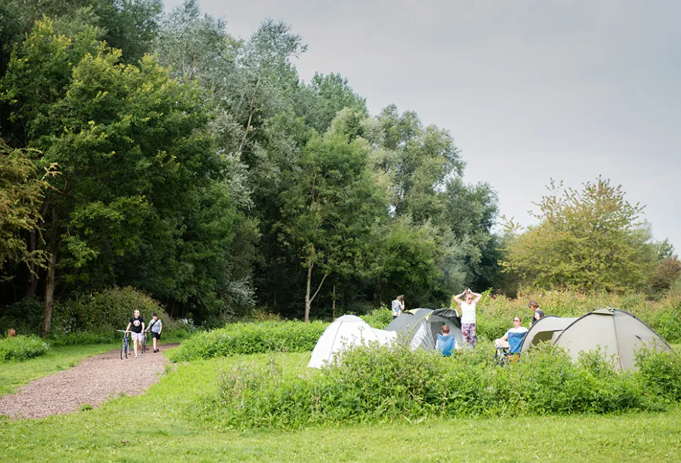 lee-valley-almost-wild-campsite-image-4