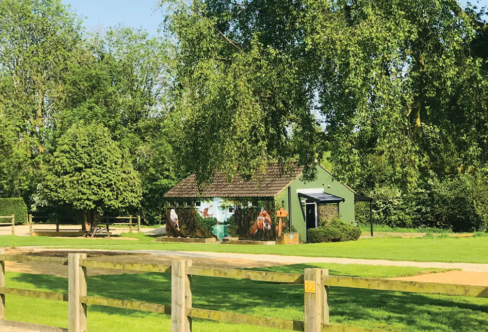 low-farm-park-campsite-image-2