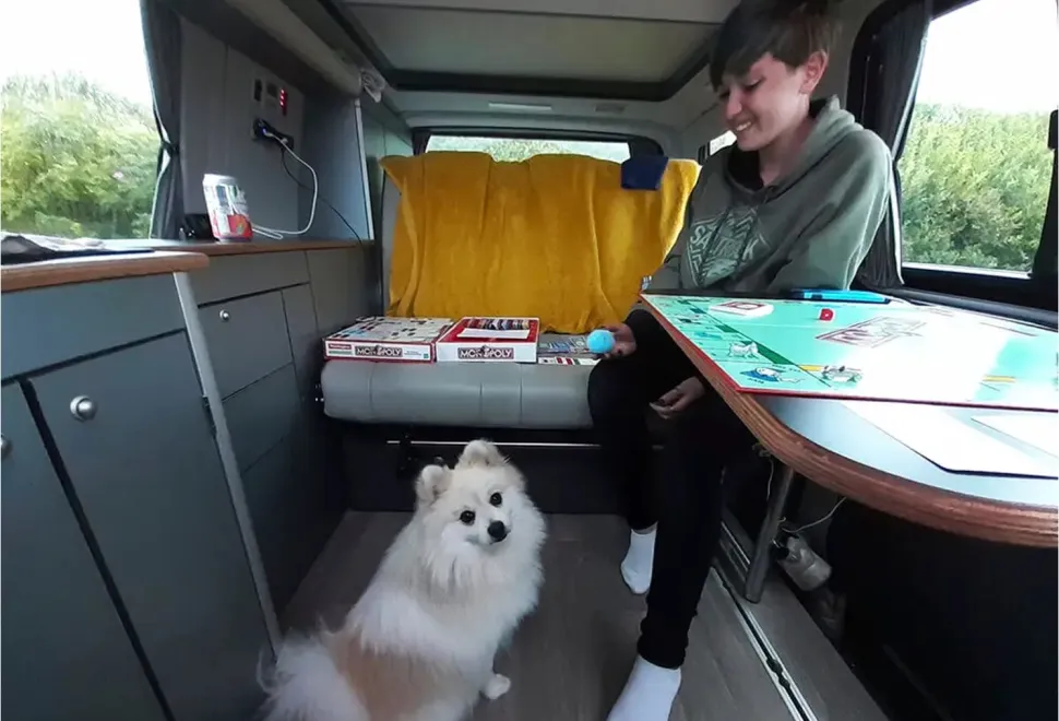 A dog inside a campervan