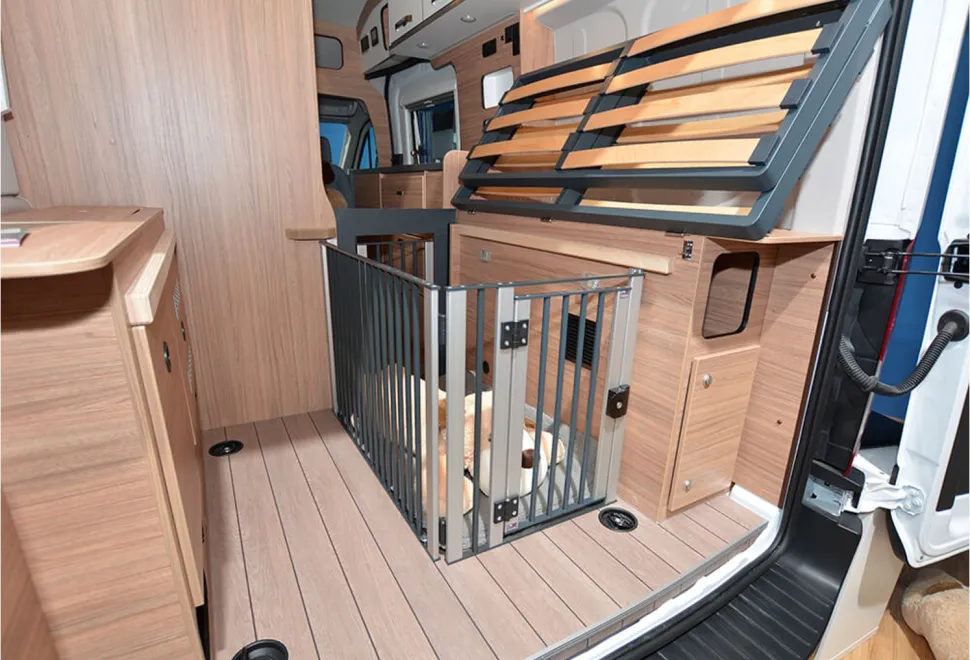 Lucky dog camper accessory in a campervan