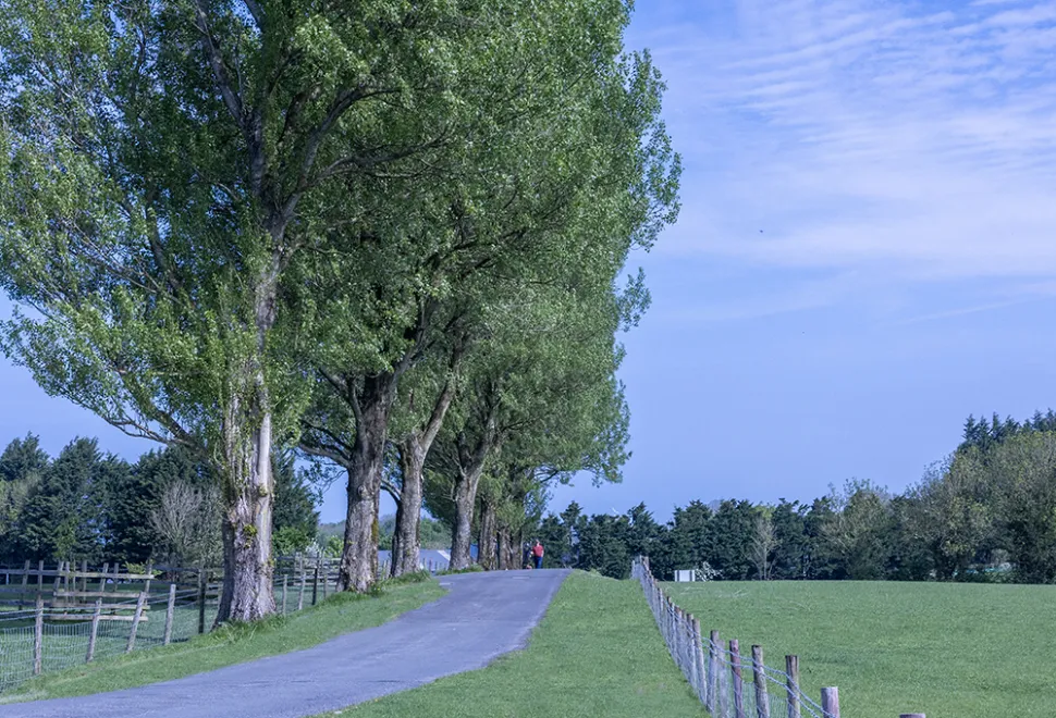 old-hall-campsite-image-1