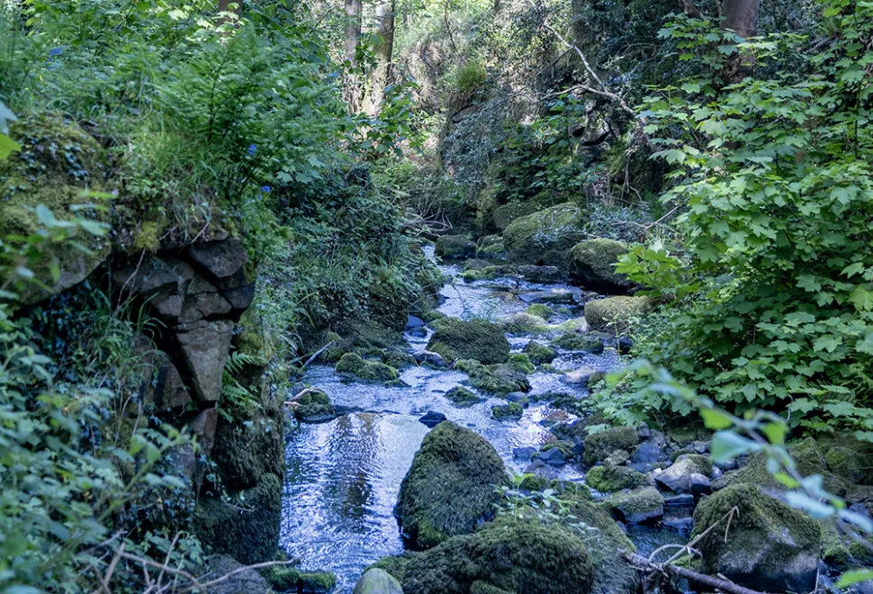 old-hall-campsite-image-2