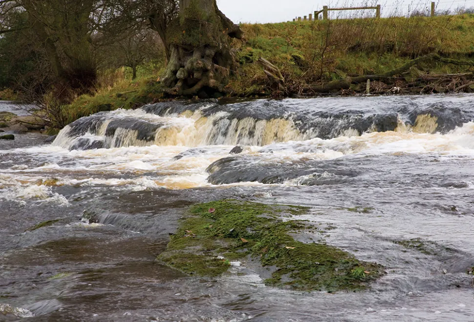 riverside-high-bentham-campsite-image-4