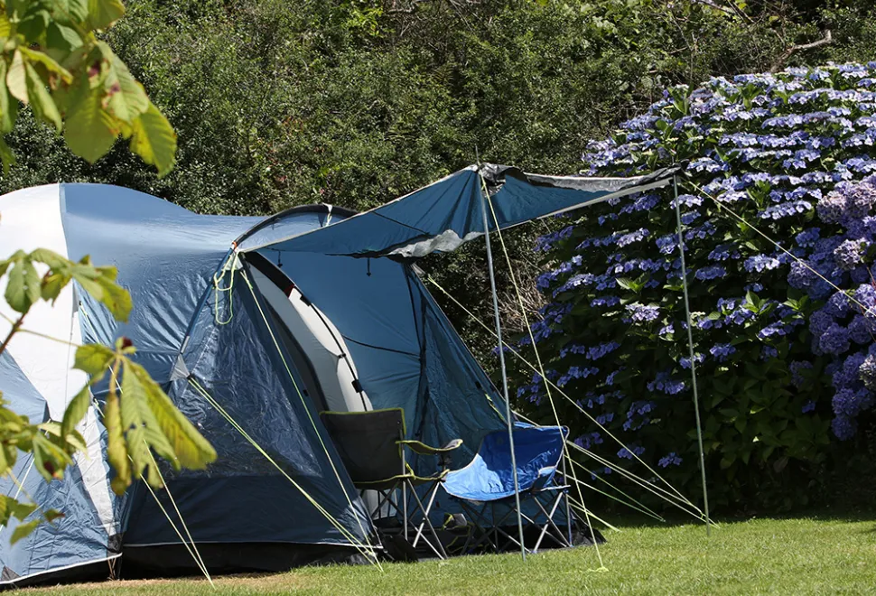 tehidy-campsite-image-1