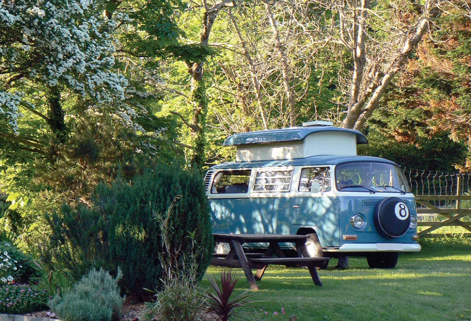 tehidy-campsite-image-6