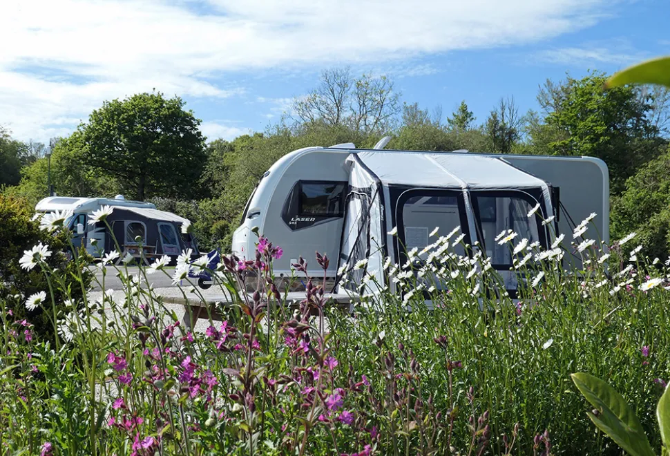 trethem-mill-campsite-image-1
