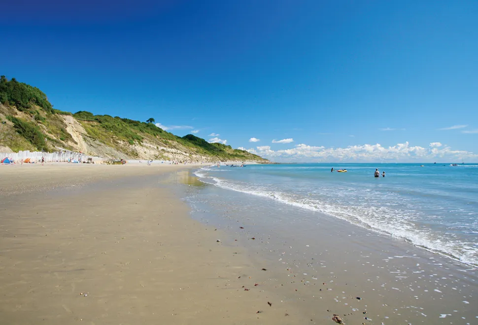 whitecliff-bay-campsite-image-4