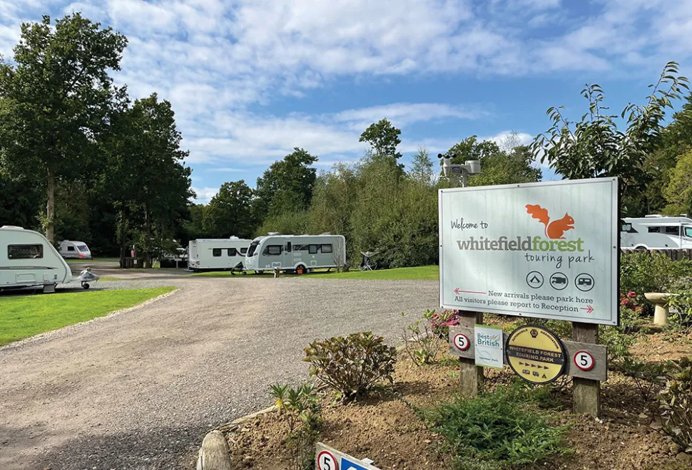 whitefield-forest-campsite-image-1