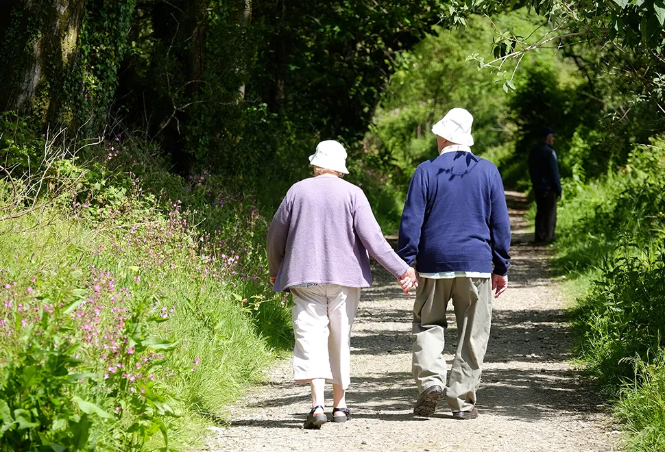 Mevagissey and Heligan walking guide