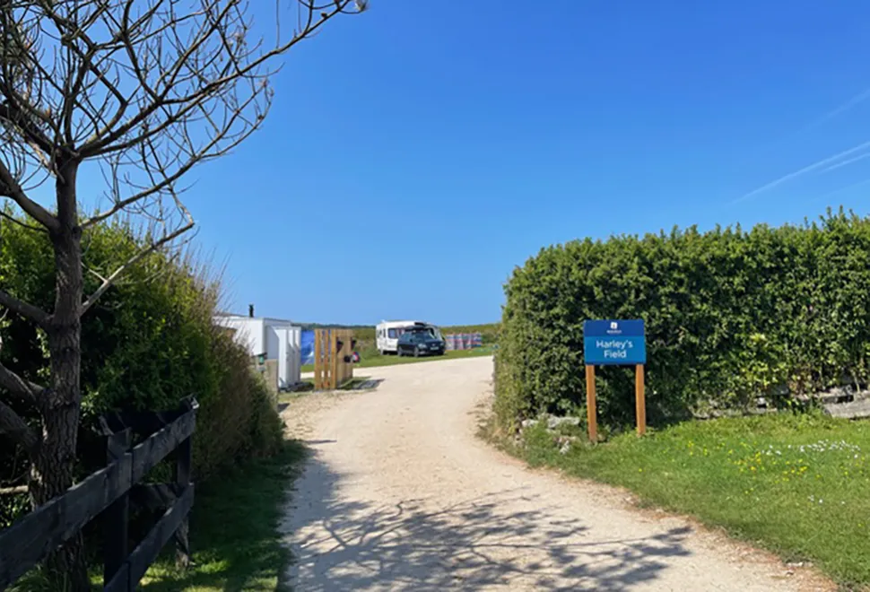 Blue Hills campsite 6