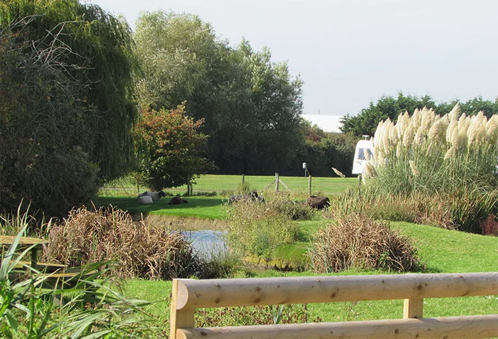 fairfields-farm 2