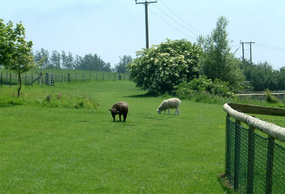 fairfields-farm
