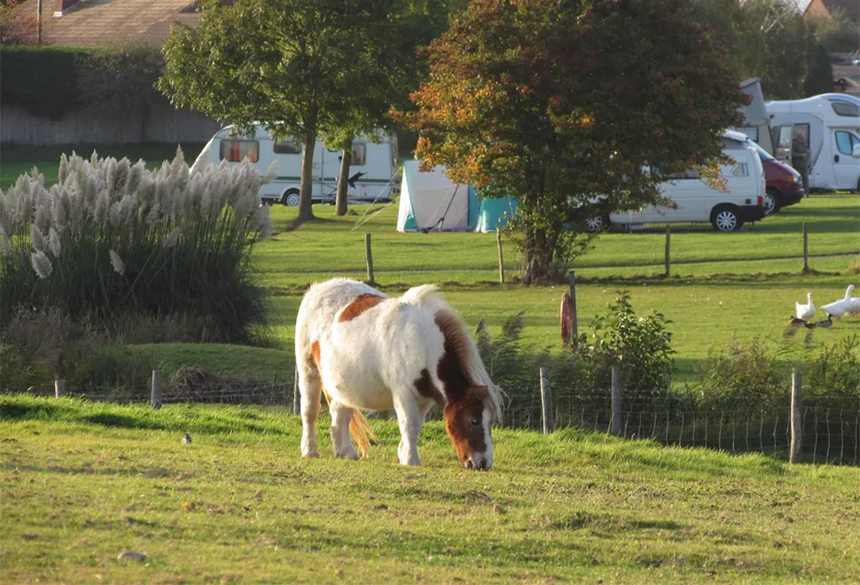 fairfields-farm 3
