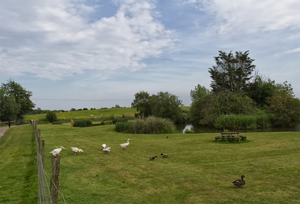 fairfields-farm 8