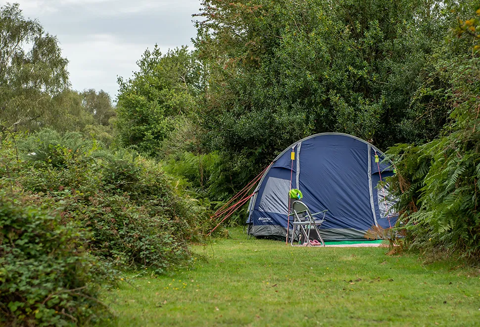 Ocknell