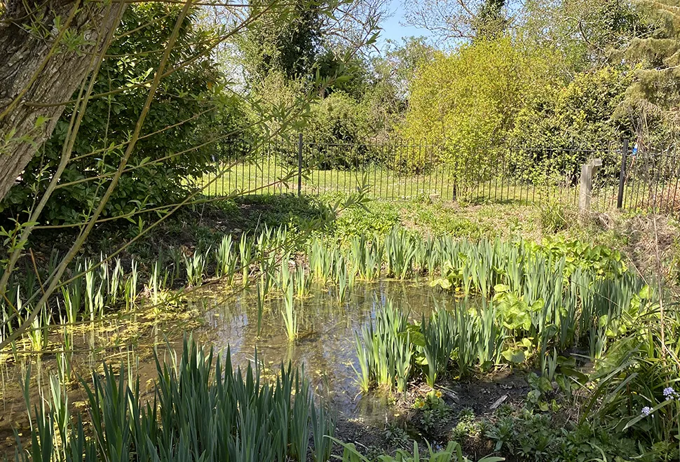 Briarfields
