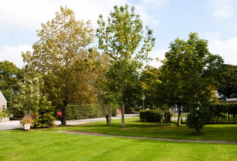 manor-wood-campsite-image-1