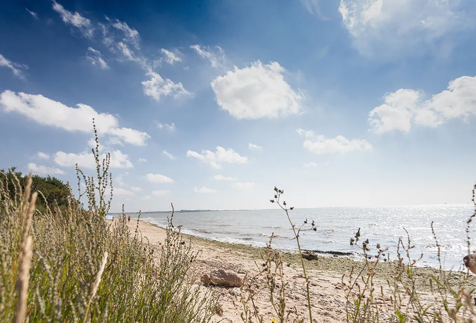 mersea-island-campsite-image