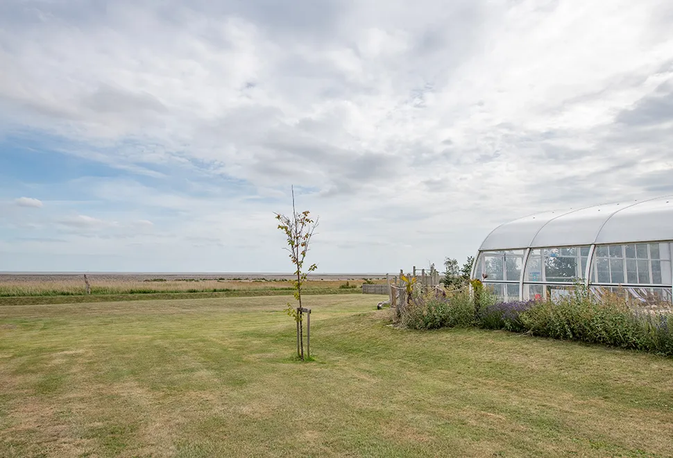 mersea-island-campsite-image