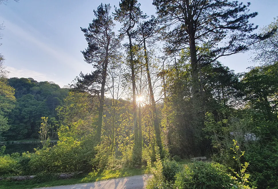 Mill Park