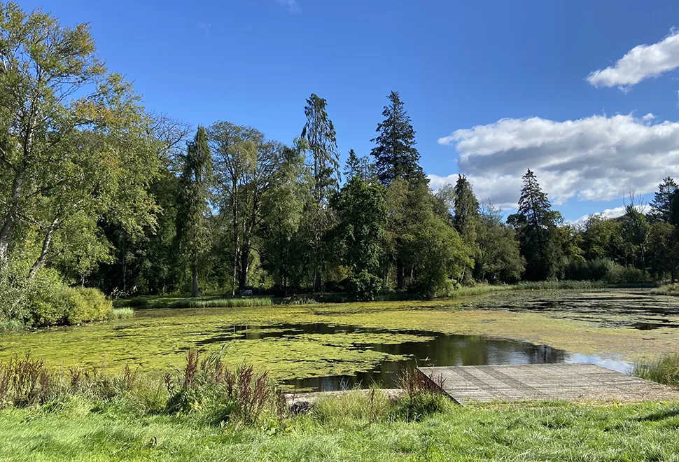 Moffat Manor