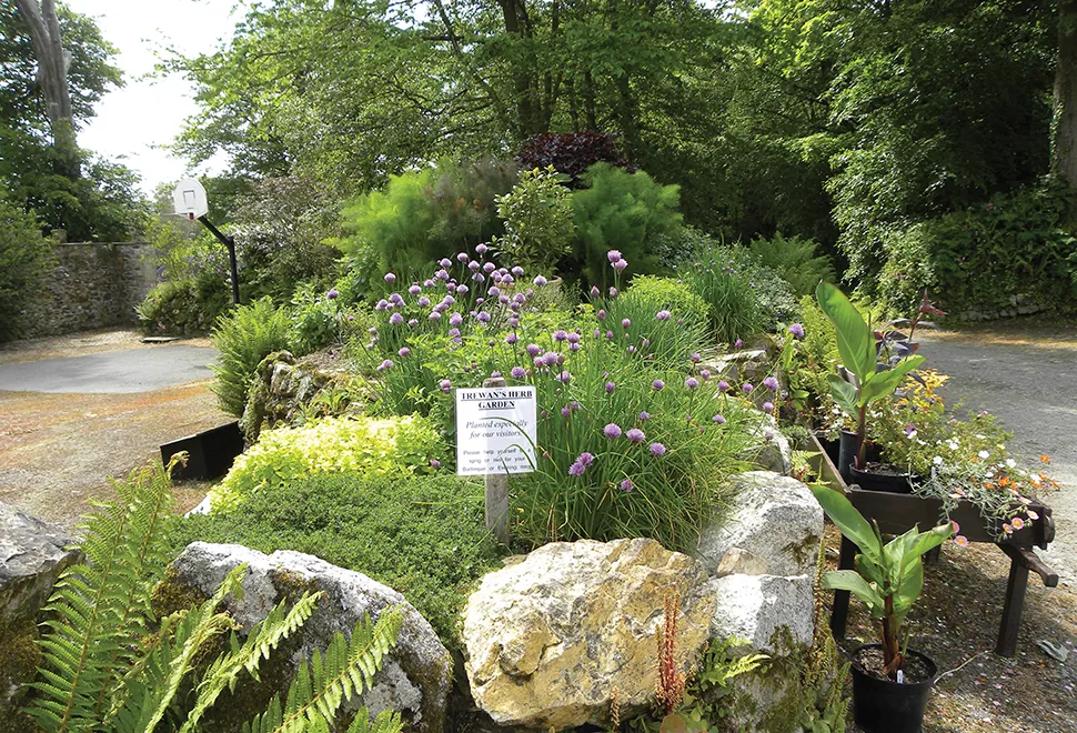 Trewan Hall