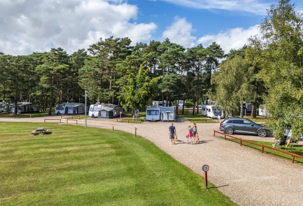 wareham-forest-campsite-image-1