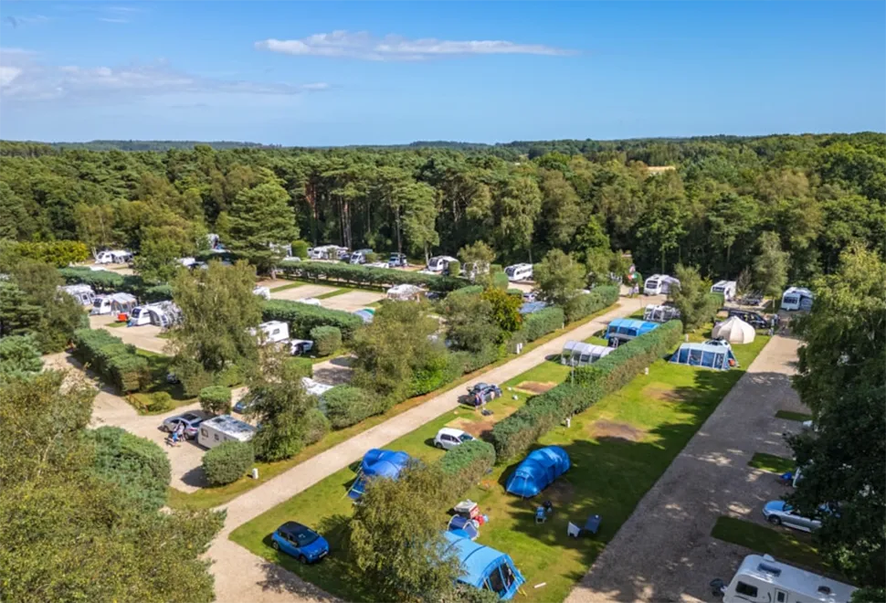 wareham-forest-campsite-image-10