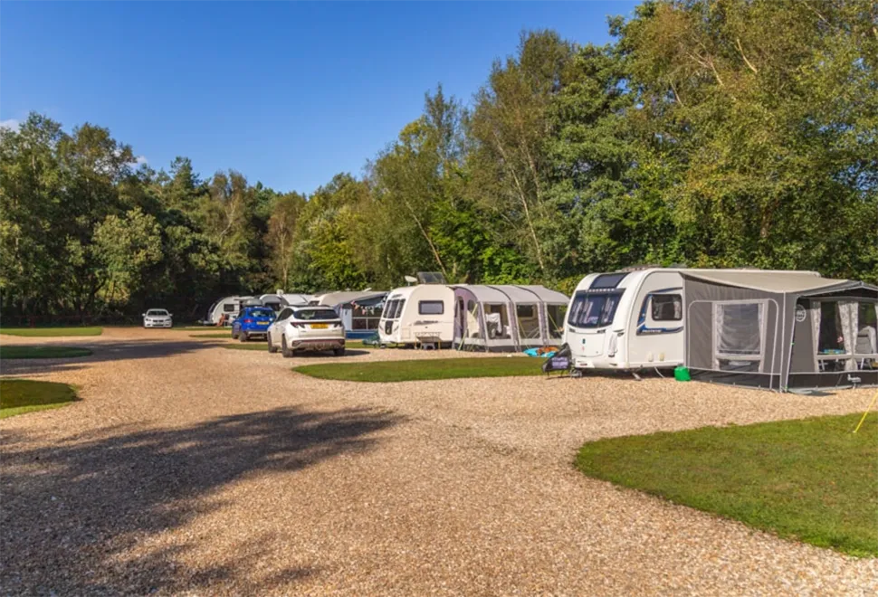 wareham-forest-campsite-image-3